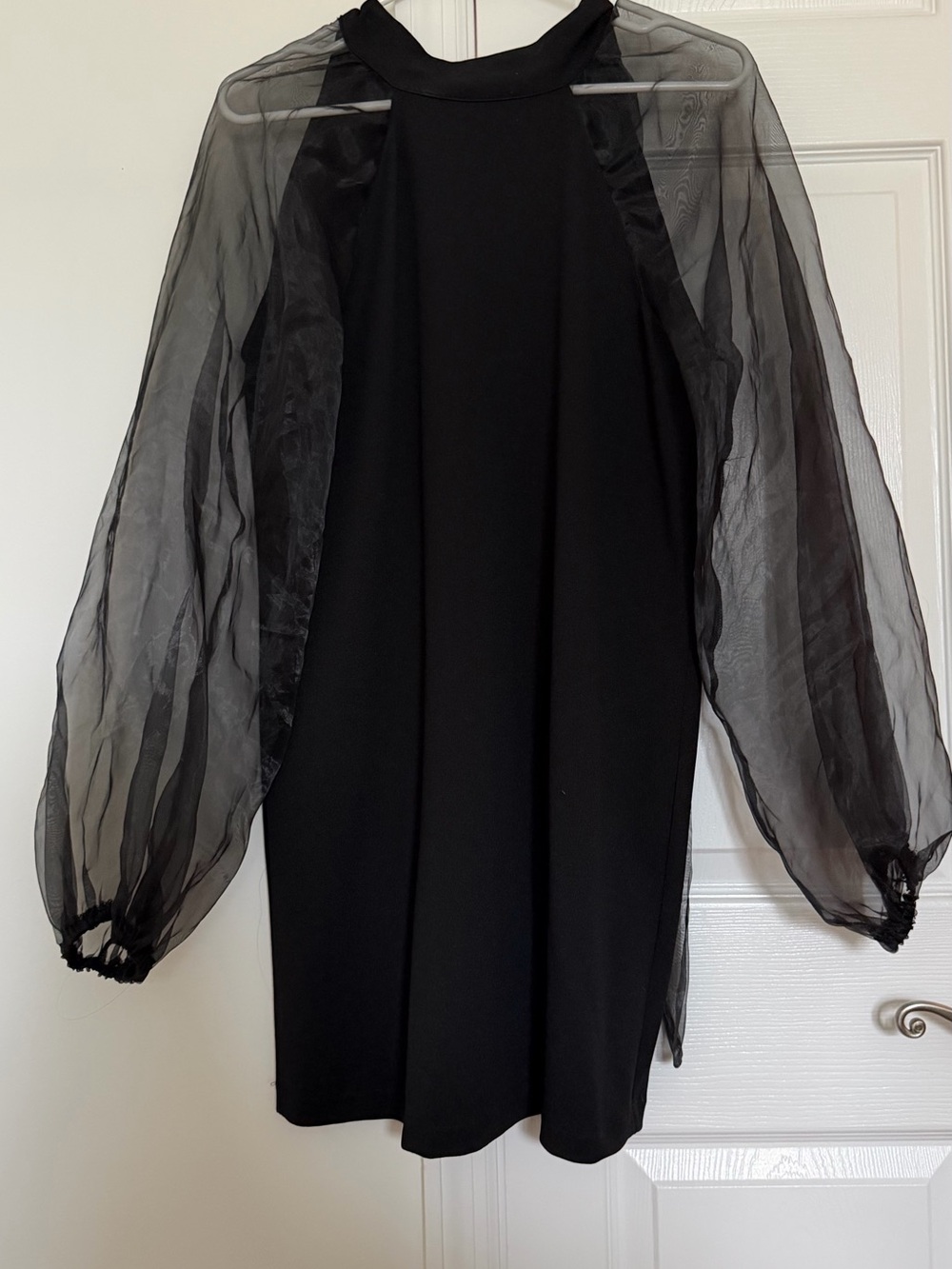 Zara Black Mini Dress with Sheer Balloon Sleeves